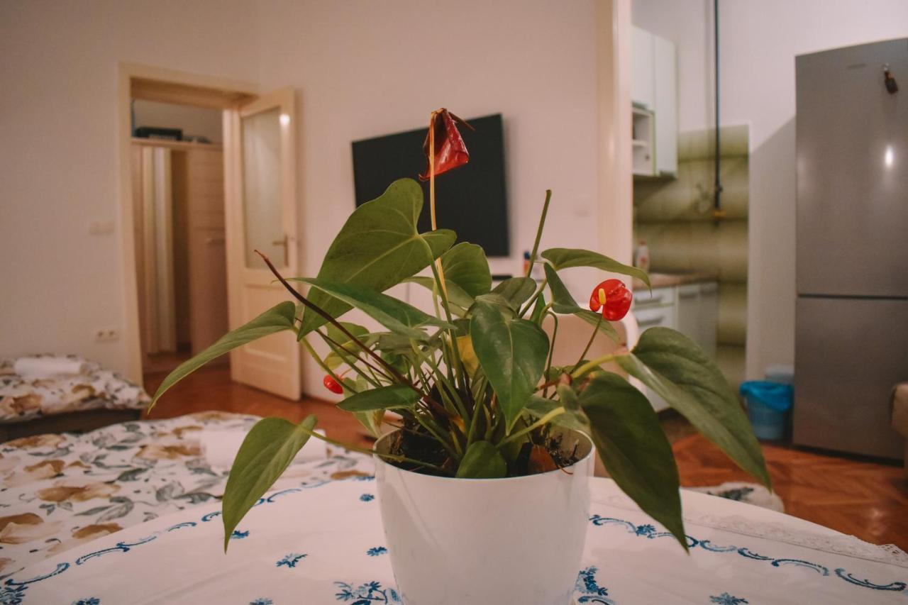 Nina Apartment Sarajevo Eksteriør billede